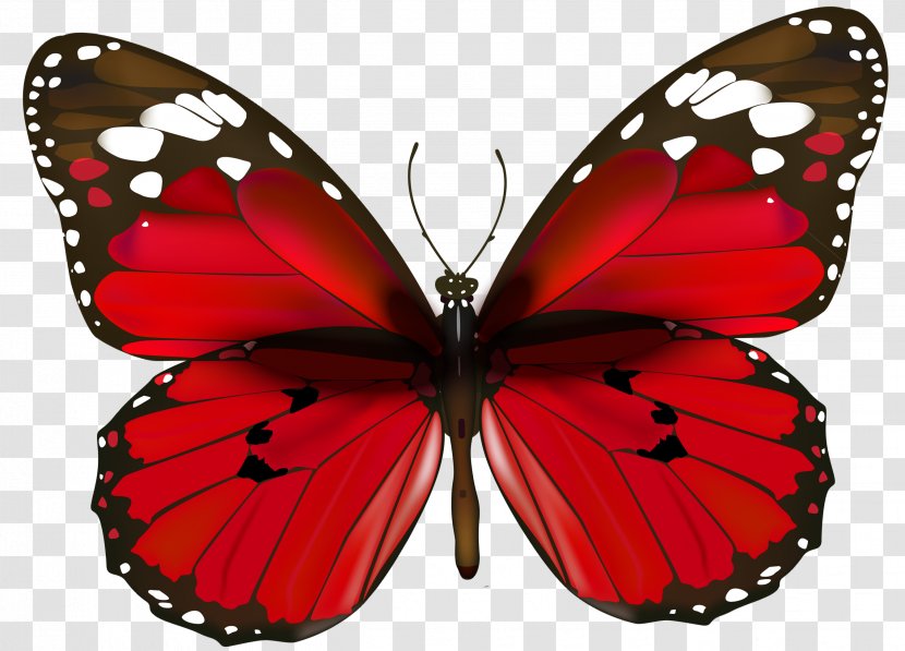 Butterfly Desktop Wallpaper Clip Art - Red Transparent PNG