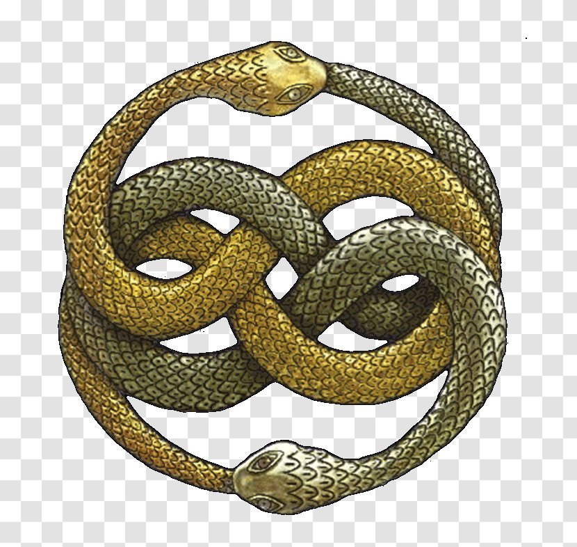 The NeverEnding Story Falkor Atreyu Auryn - Boa Constrictor Transparent PNG