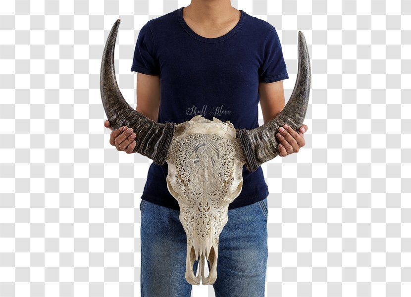 Ganesha Deity Horn Cattle Elephantidae - American Bison - Buffalo Skull Transparent PNG