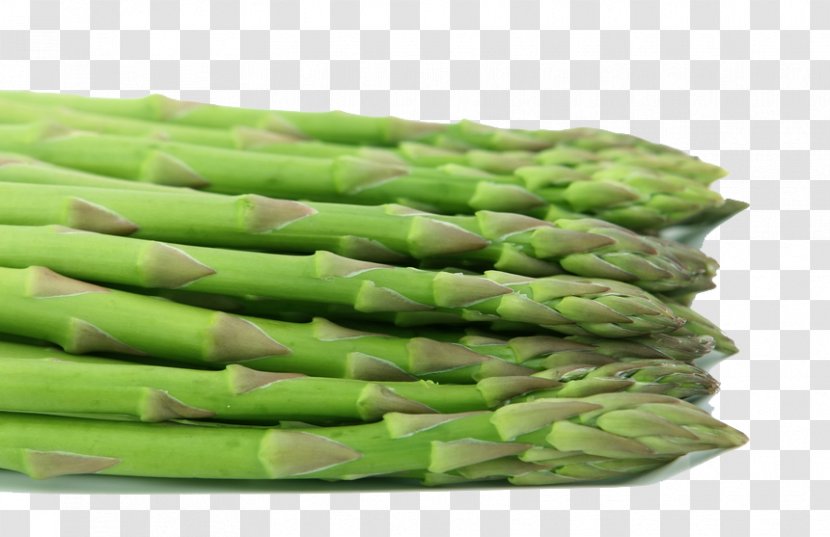Asparagus Organic Food Calorie Eating Cooking - Dietary Fiber - Green Bamboo Shoots Tip Transparent PNG
