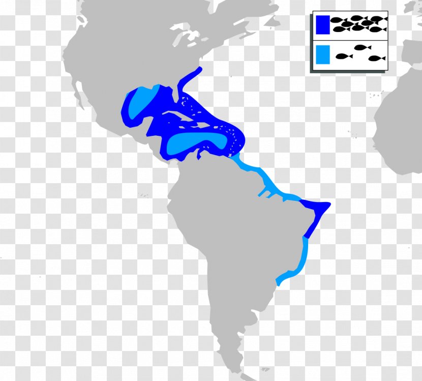 United States Spanish Colonization Of The Americas Latin American Wars Independence South America - British Transparent PNG