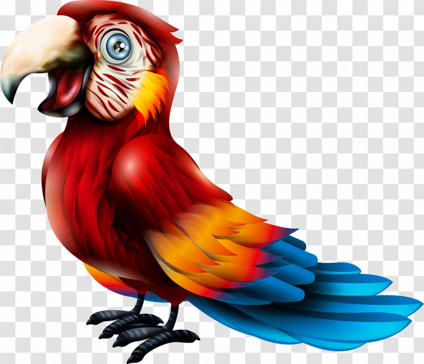 Macaw Parrot Bird Lories And Lorikeets - Vector Red Transparent PNG