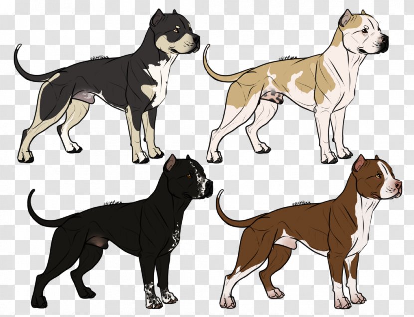 Dog Breed American Bully Drawing Transparent PNG