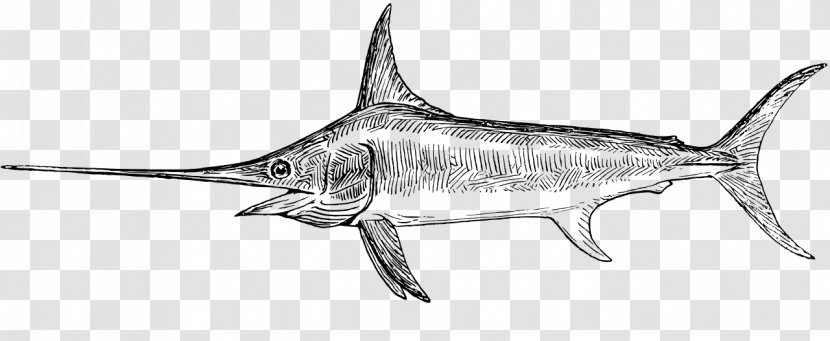 Swordfish Drawing Clip Art - Marlin Fishing Transparent PNG