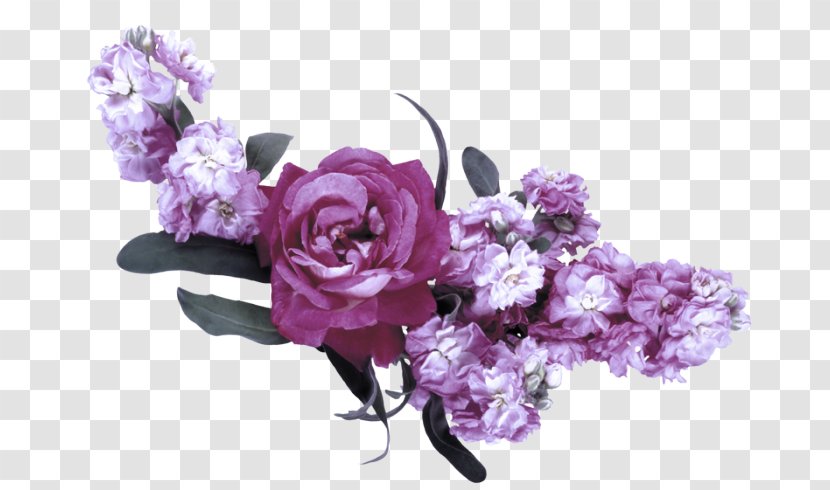 Lavender - Violet - Petal Bouquet Transparent PNG