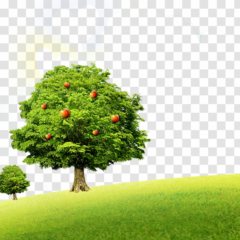 Android Application Package IPod Touch Apple - Grass - Trees Transparent PNG