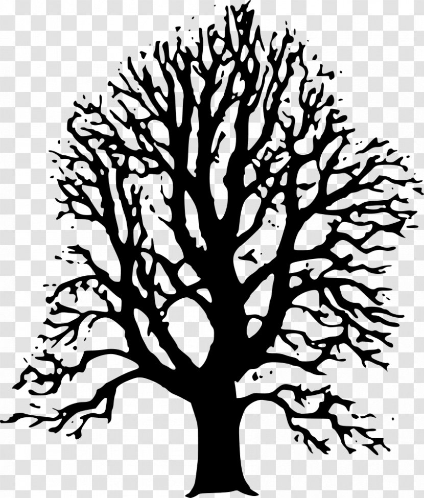 Lindens Tree Clip Art - Monochrome Transparent PNG