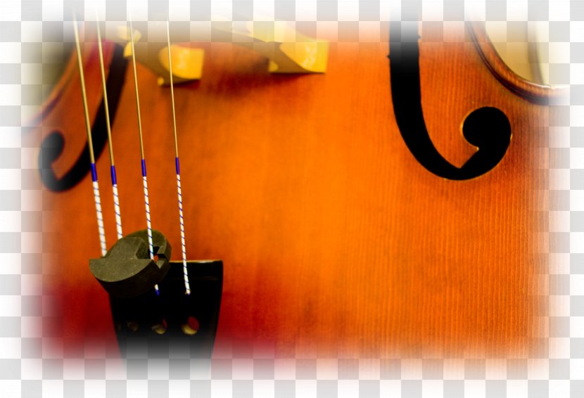 Cello Still Life Photography Font - String Instrument - Africa Twin Transparent PNG