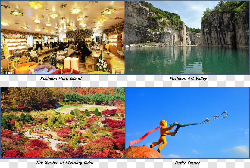 Advertising Travel Water Resources Leisure Desktop Wallpaper - Tourism - Autumn Festival Transparent PNG