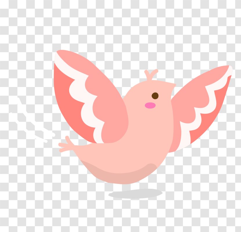 Bird Drawing Vector Graphics Image - Aves Transparent PNG
