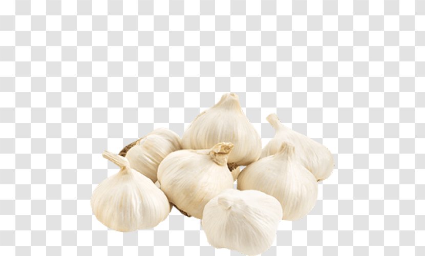 Garlic Health Herb Disease Nutrition - Fresh Transparent PNG