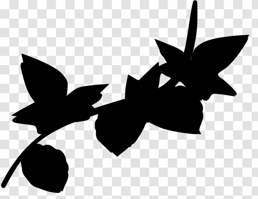 Leaf Black-and-white Wing Font Plant Transparent PNG