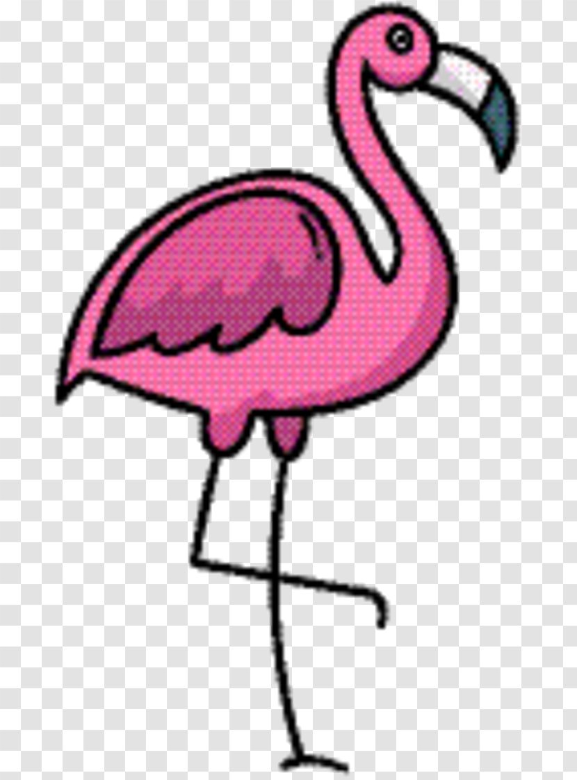 Pink Flamingo - Water Bird Transparent PNG