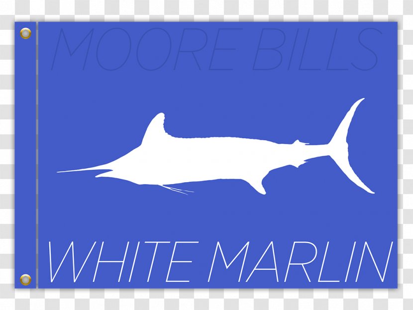 White Marlin Open Shark Atlantic Blue - Drive Transparent PNG