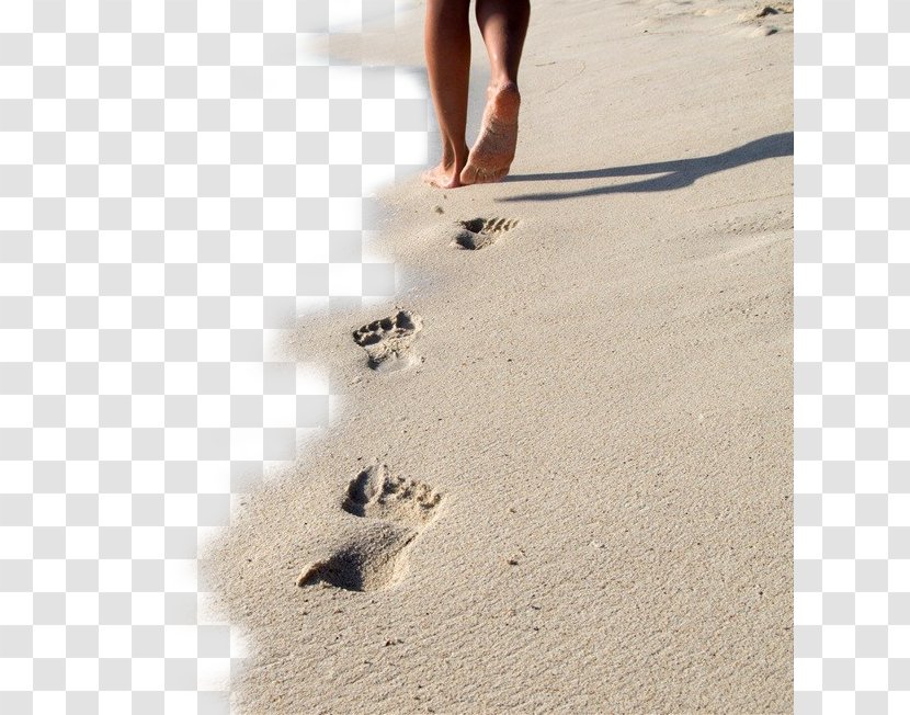 Siesta Key Beach Sand Footprints - Stockxchng - Walking Transparent PNG