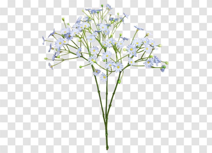 Cut Flowers Baby's-breath Blue Flower Bouquet - Branch - Baby Breath Transparent PNG