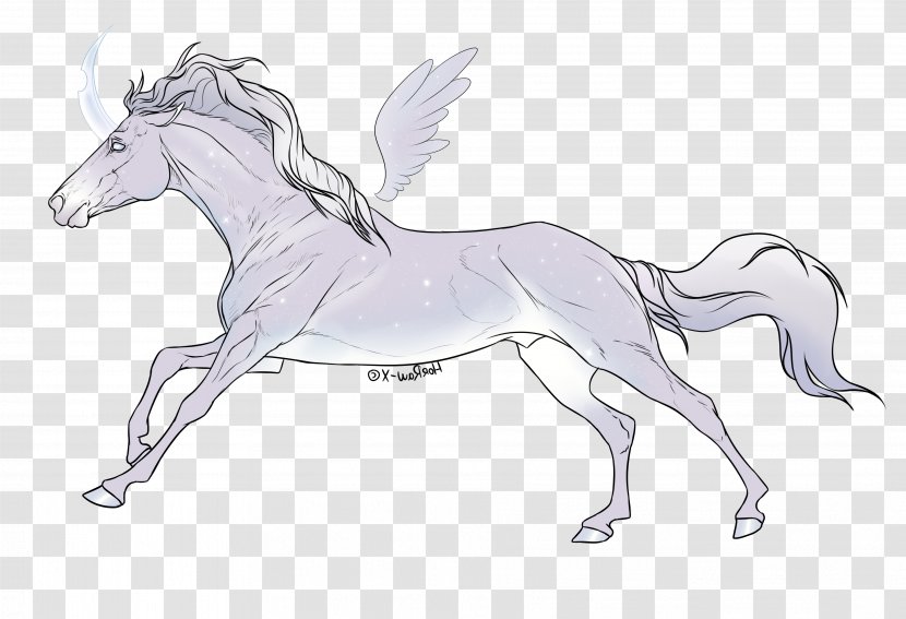 Mane Mustang Pony Foal Stallion - Mammal Transparent PNG