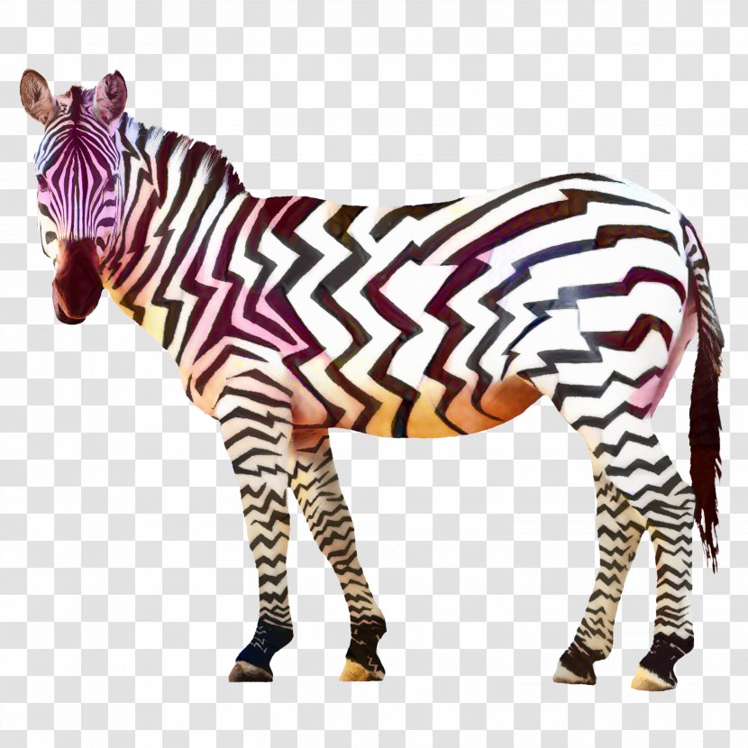 Painting Cartoon - Zebra - Toy Snout Transparent PNG