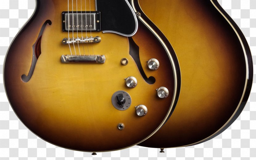Semi-acoustic Guitar Electric Gibson ES-335 Brands, Inc. - Watercolor - Acoustic Transparent PNG