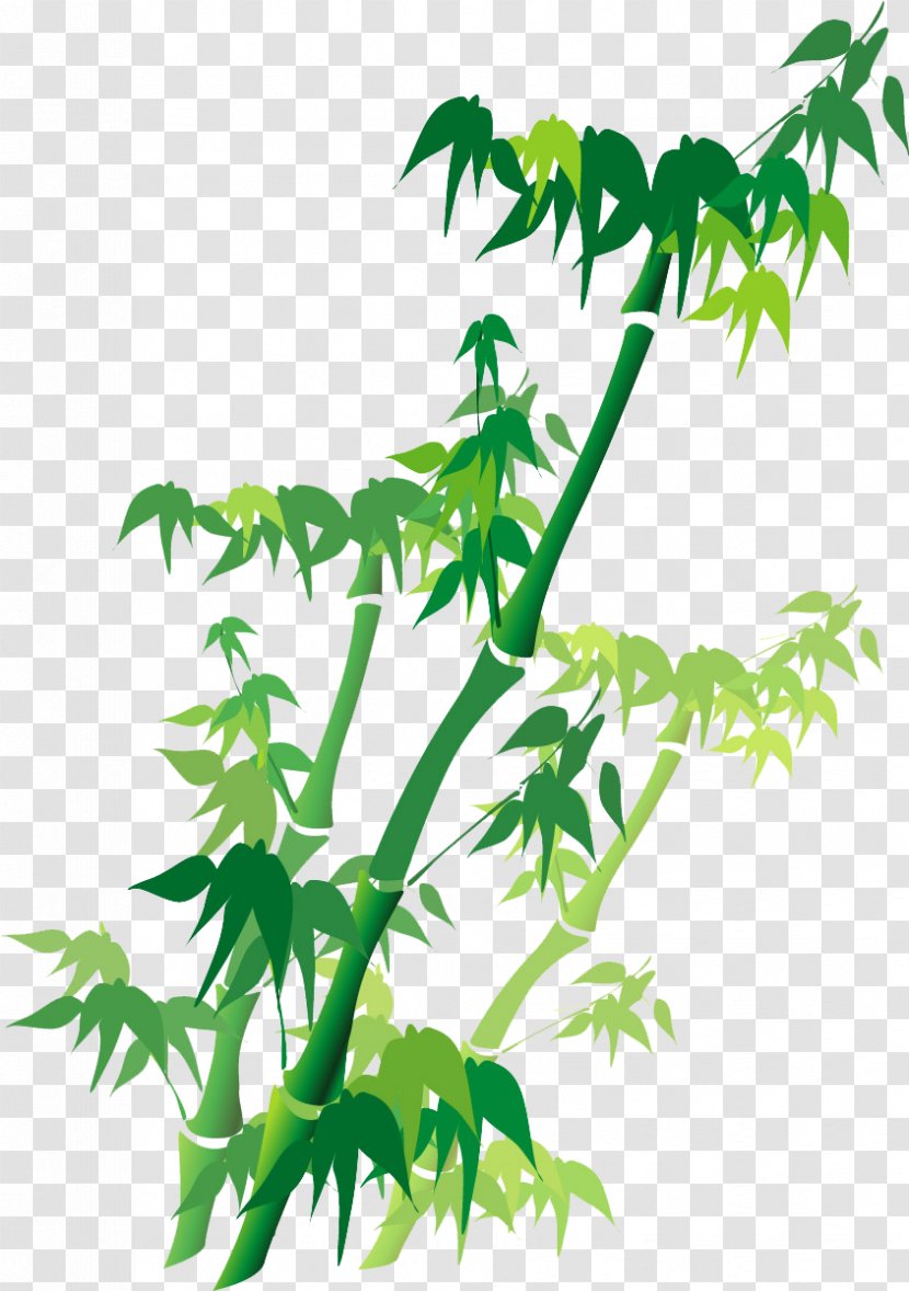 Bamboo Green Illustration - Cartoon - Hand-painted Transparent PNG