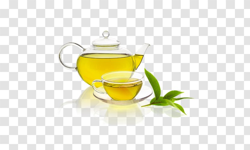 Green Tea Herbal Vegetarian Cuisine Plant - Liquid Transparent PNG