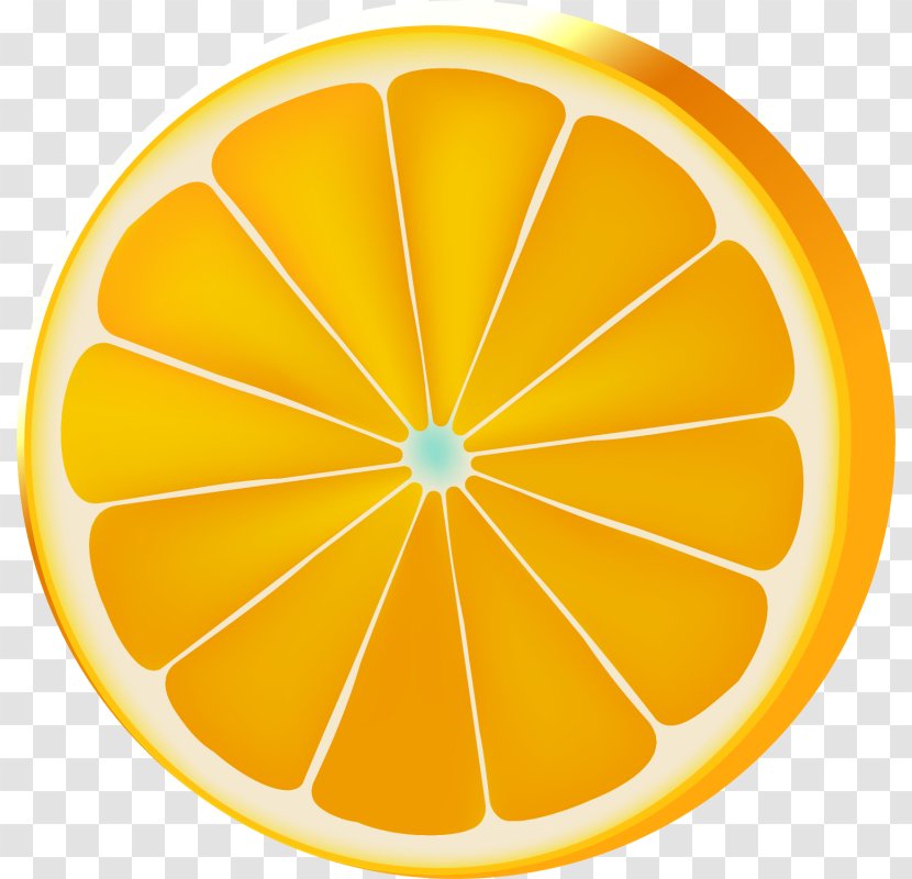 Lemon Circle Orange - Flower - Hand Painted Transparent PNG