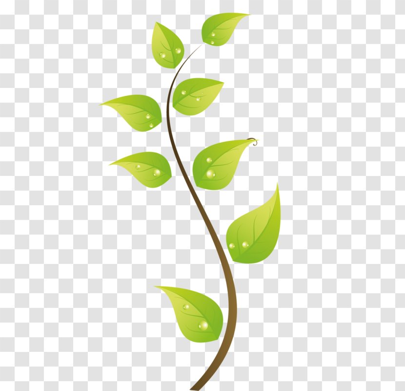 Green Leaf Clip Art - Dew - Leaves Transparent PNG
