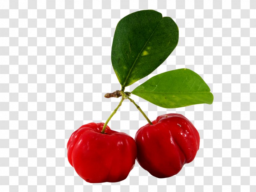 Juice Barbados Cherry Fruit Malpighia Glabra - Extract - Papaya Transparent PNG