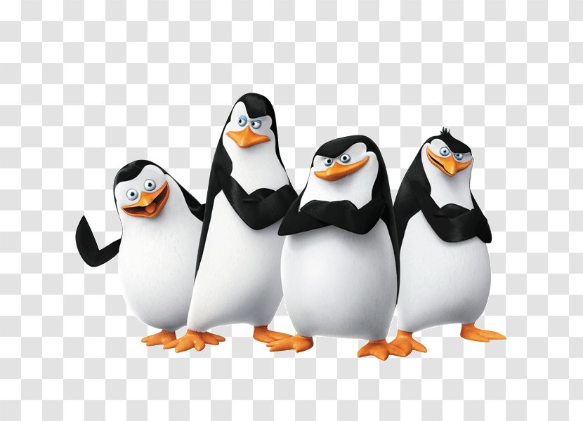 Skipper Kowalski Penguin Madagascar Film - Youtube - Penguins Transparent PNG