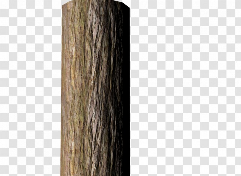 Wood Tree Stump Trunk Bark Transparent PNG