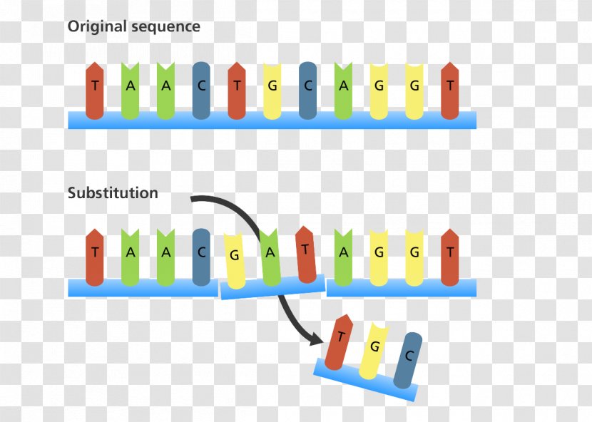 Frameshift Mutation Insertion Point Genetics Transparent PNG
