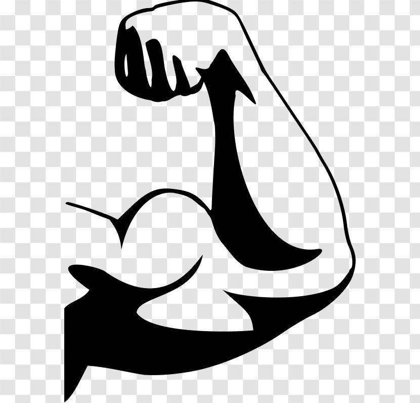 Muscle Arm Human Body Clip Art - Symbol - Cliparts Arms Fitness Transparent PNG