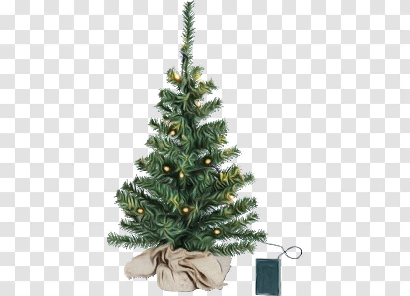 Christmas Tree - Oregon Pine - Plant Shortleaf Black Spruce Transparent PNG
