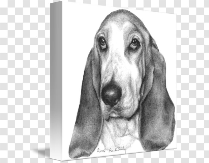 Basset Hound Dog Breed Black And Tan Coonhound Beagle Bluetick - Monochrome - Puppy Transparent PNG