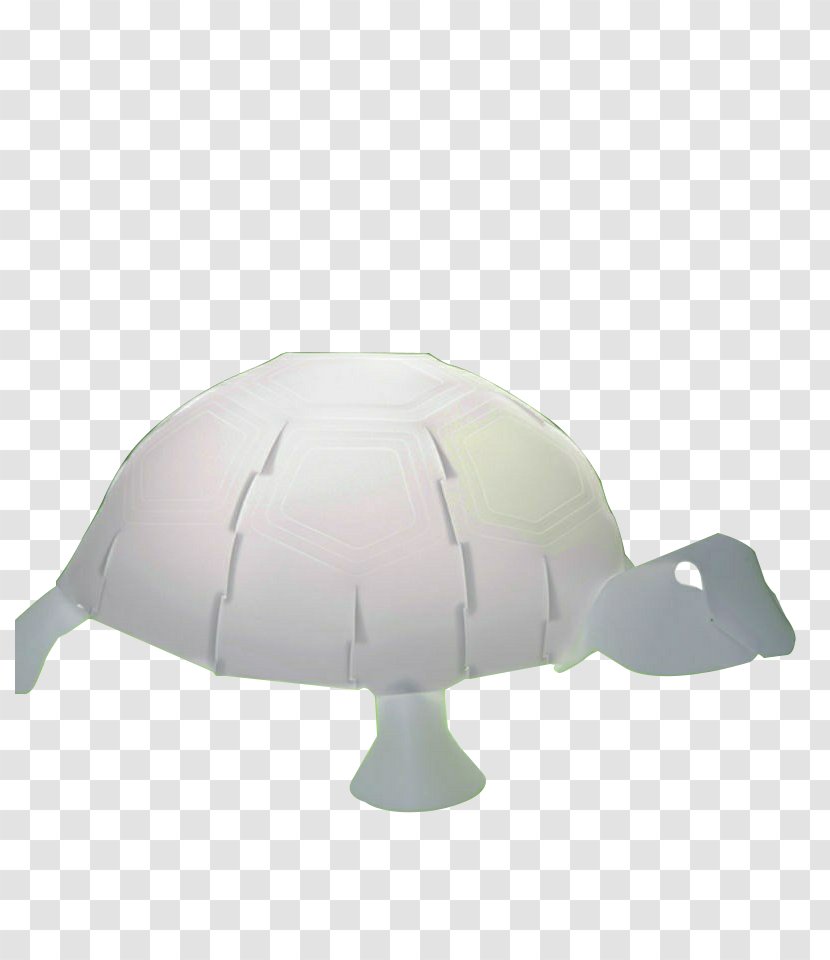 Turtle Lamp .de Northern Giraffe Zoo Transparent PNG