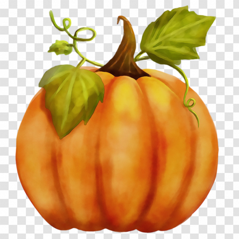 Tomato Transparent PNG