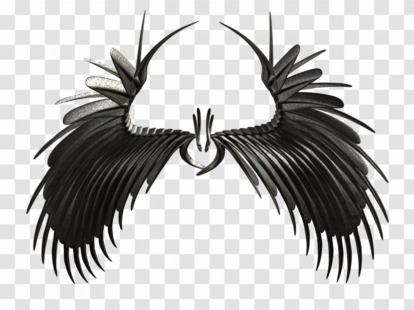 Feather Beak Neck White Transparent PNG