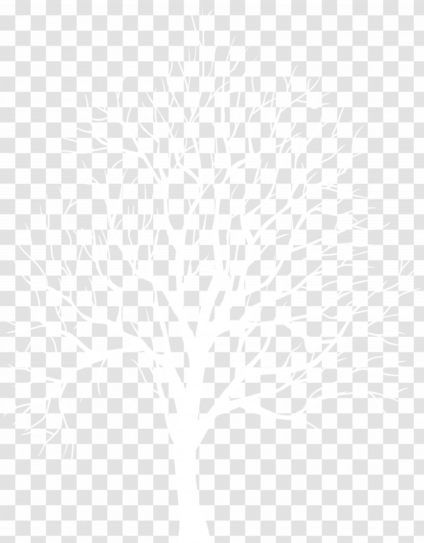 Black And White Line Point Angle - Textile - Winter Tree Silhouette Transparent Clip Art Image Transparent PNG