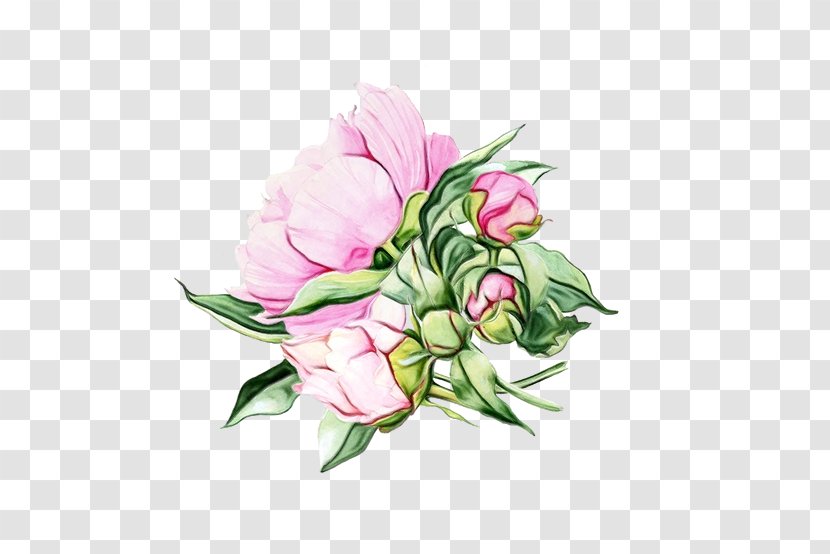 Watercolor Flower Background - Paint Lisianthus Transparent PNG