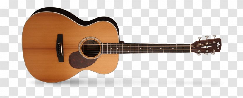 Steel-string Acoustic Guitar Cort Guitars Bass - Tree Transparent PNG