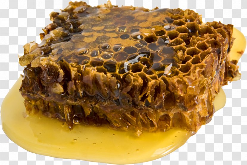 Propolis Beeswax Tincture Honey - Therapy - Bee Transparent PNG