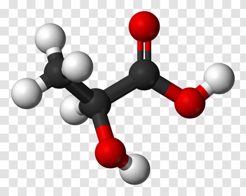 Lactic Acidosis Carboxylic Acid Glycolysis - Alpha Hydroxy - Ball Transparent PNG