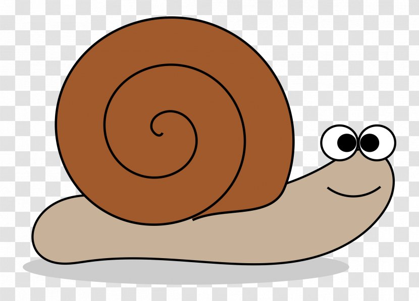Snail Download Clip Art - Presentation - Snails Transparent PNG