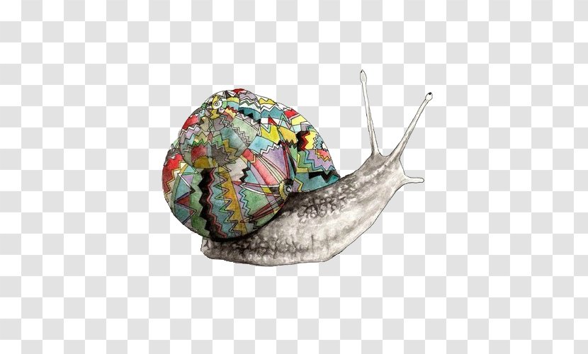 Land Snail Drawing Art Transparent PNG