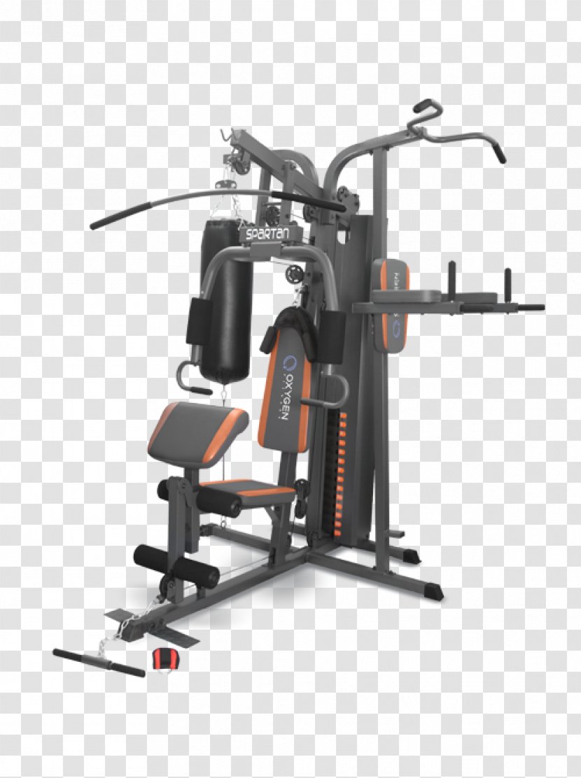 Exercise Machine Strength Training Pulldown Price Artikel - Equipment - Fitness Transparent PNG