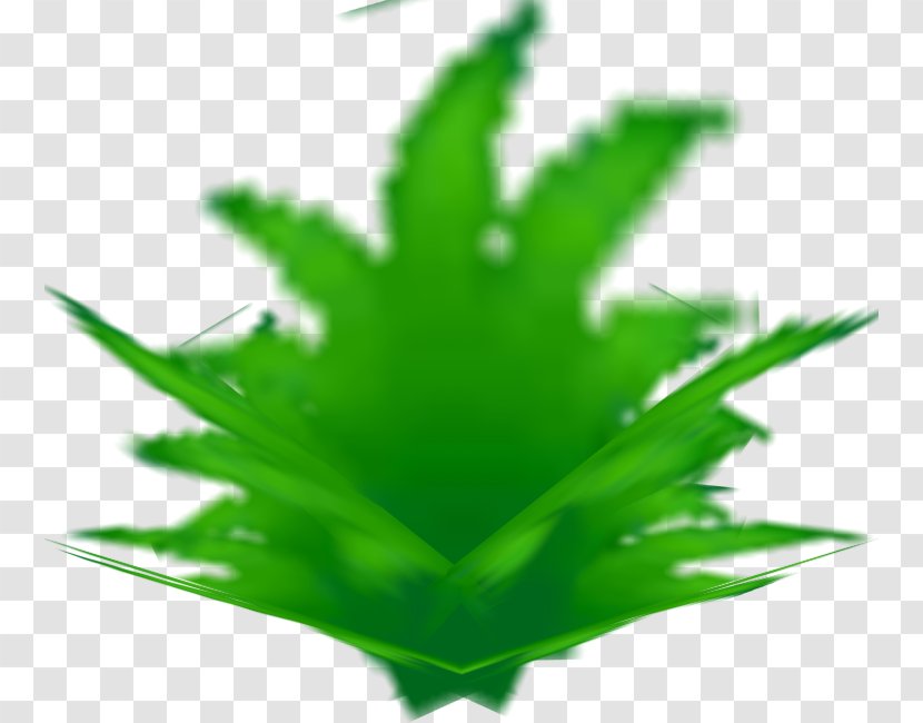 Cannabis Leaf Plant Stem Hemp Transparent PNG