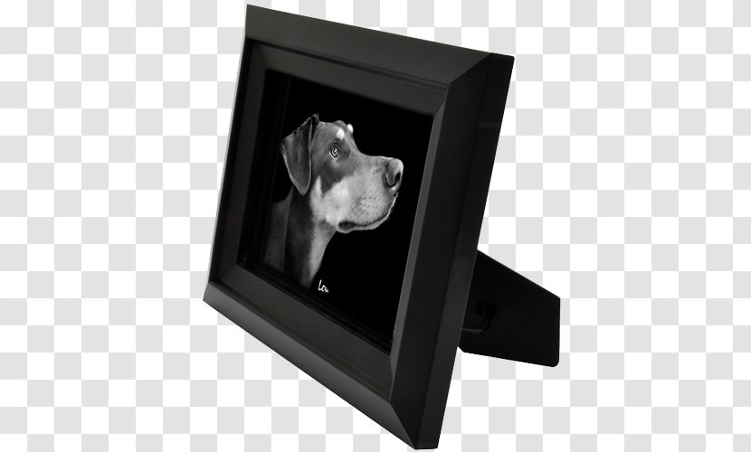 Dog Picture Frames Transparent PNG