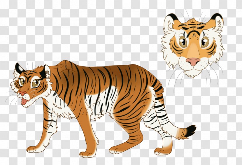 Whiskers Tiger Lion Cat - Animal Transparent PNG