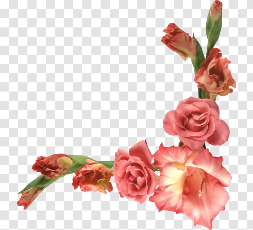 Garden Roses Floral Design Cut Flowers Flower Bouquet Transparent PNG