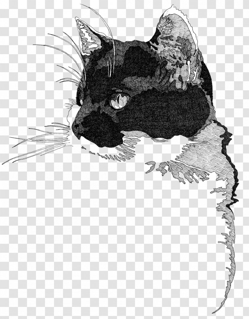 Whiskers Painting Artist Drawing Transparent PNG